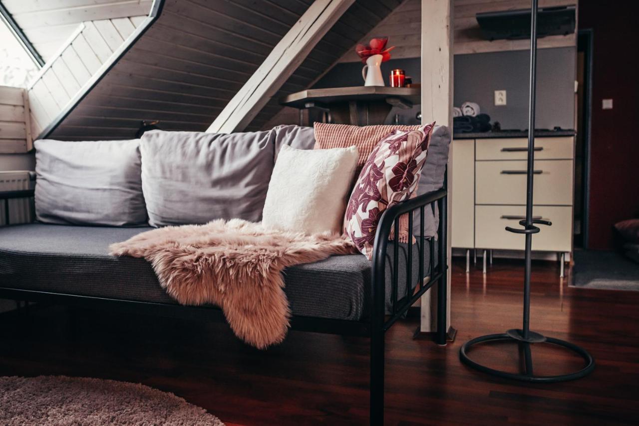 Apartmany Rudik Zelezna Ruda Bagian luar foto