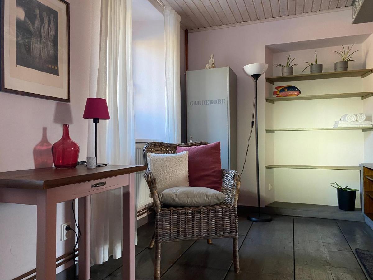 Apartmany Rudik Zelezna Ruda Bagian luar foto