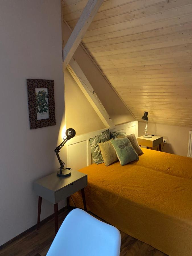 Apartmany Rudik Zelezna Ruda Bagian luar foto