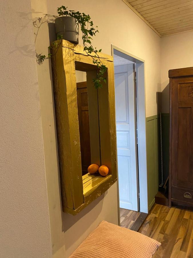 Apartmany Rudik Zelezna Ruda Bagian luar foto