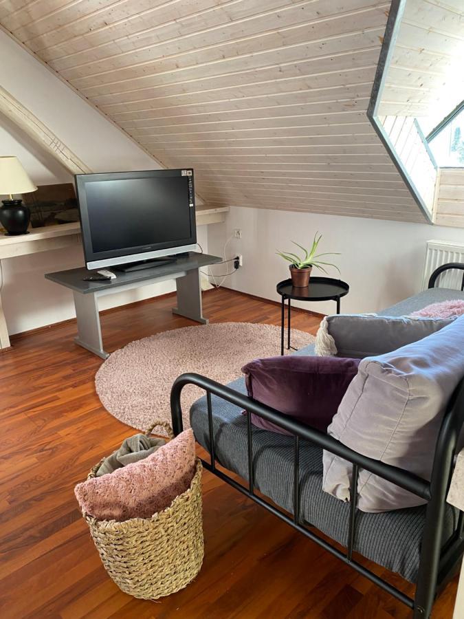 Apartmany Rudik Zelezna Ruda Bagian luar foto