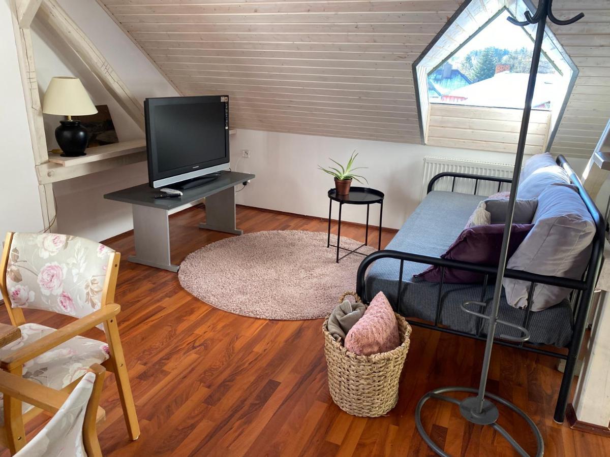 Apartmany Rudik Zelezna Ruda Bagian luar foto