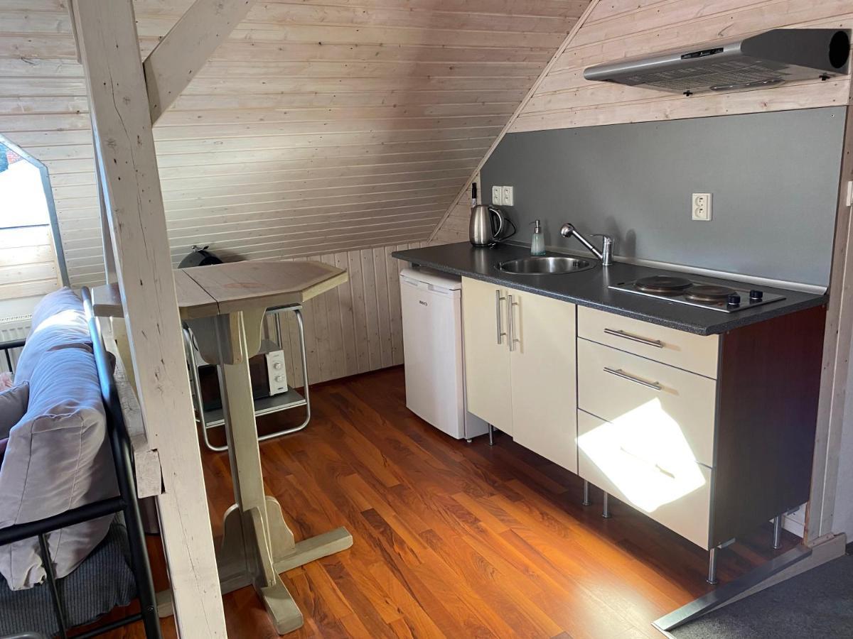 Apartmany Rudik Zelezna Ruda Bagian luar foto