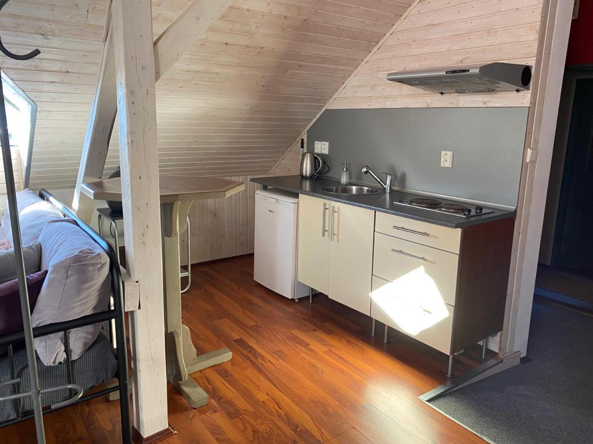 Apartmany Rudik Zelezna Ruda Bagian luar foto