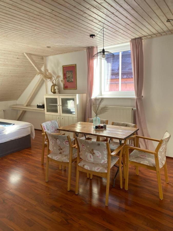 Apartmany Rudik Zelezna Ruda Bagian luar foto