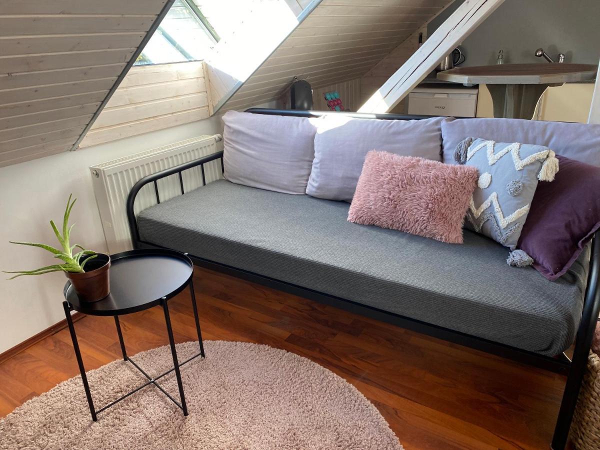Apartmany Rudik Zelezna Ruda Bagian luar foto