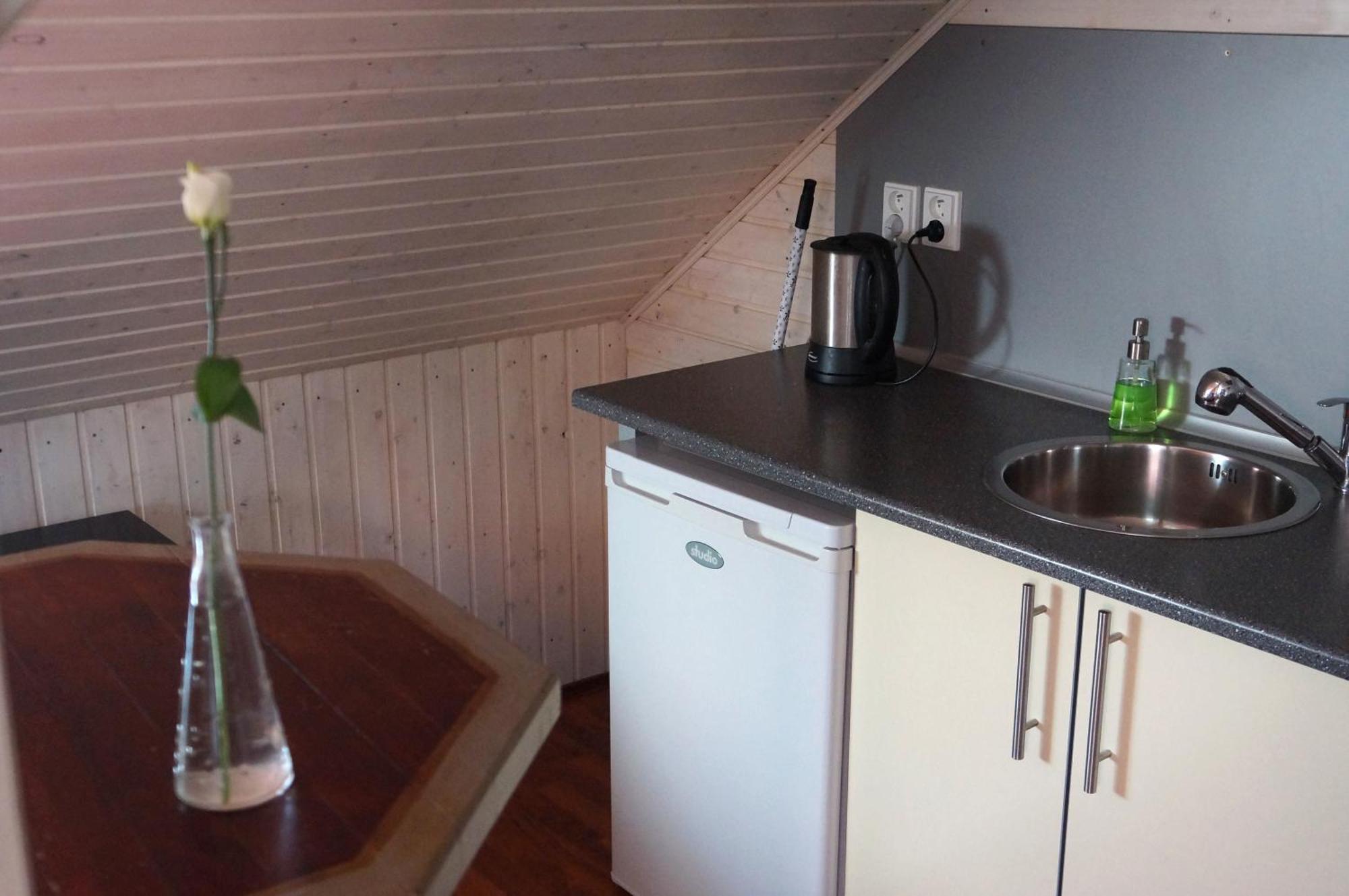 Apartmany Rudik Zelezna Ruda Ruang foto